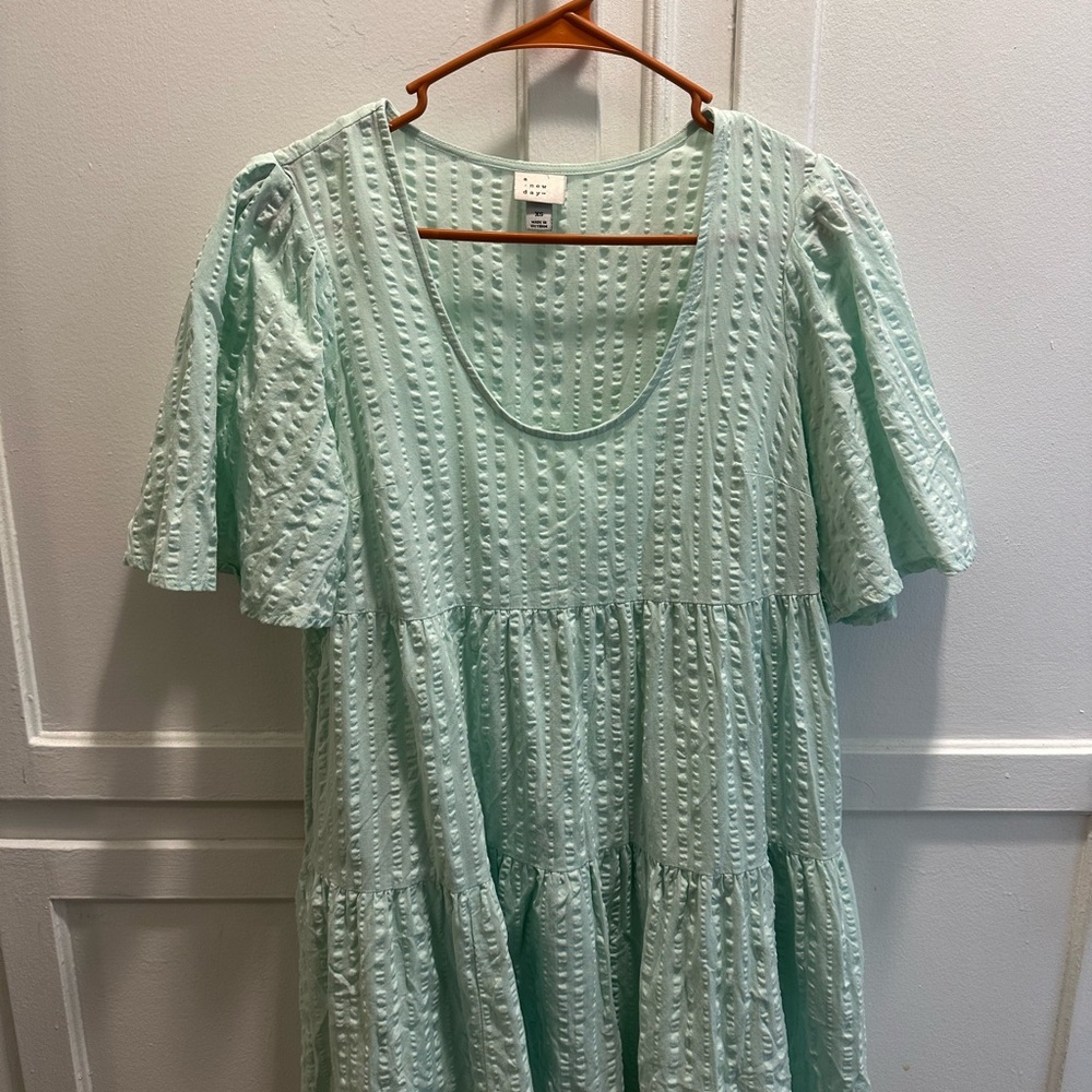 A New Day Light Green Textured Dress